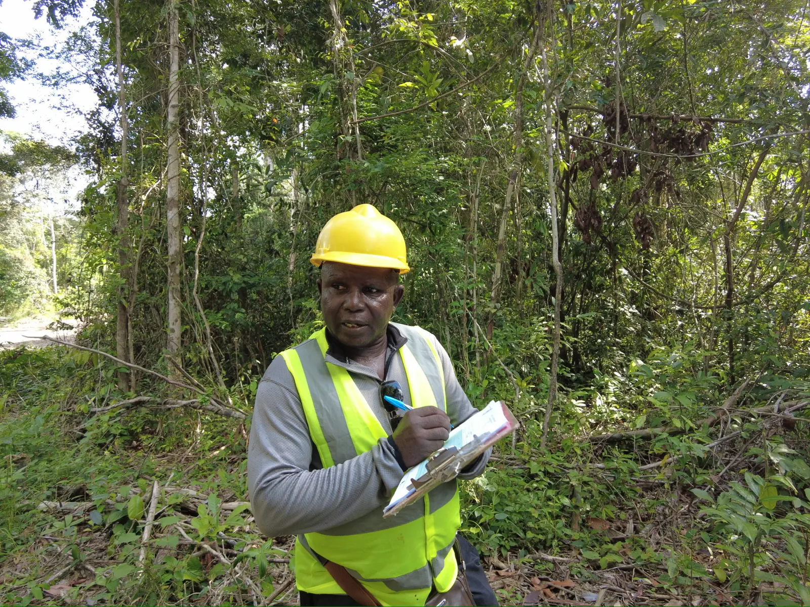 AW&L enumeration crew member recording tree data on clipboard in the forest