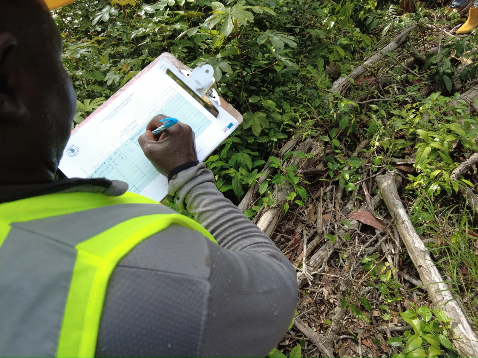 Close-up of field inspection form used during timber verification in Liberia