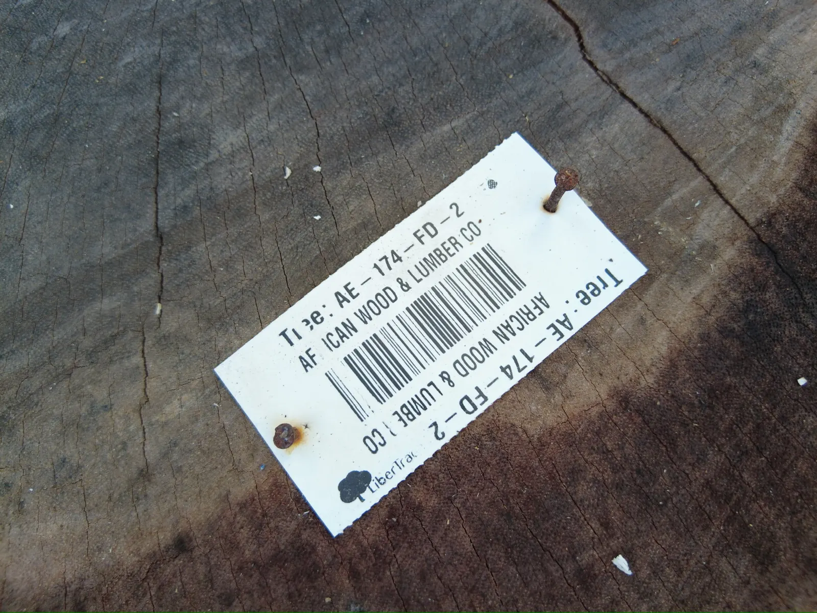 LiberTrace barcode tag Tree AE-174-FD-2 on African Wood & Lumber log, Liberia