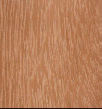 Doussie wood grain (tangential face)