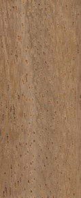Albizia wood grain (tangential face)