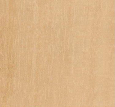 Ababa wood grain (tangential face)