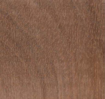 Araliopsis tabouensis wood grain (tangential face)
