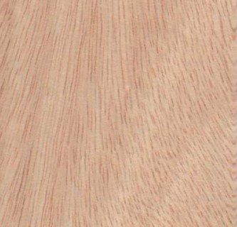 Aiele wood grain (tangential face)