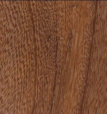 Cynometra ananta wood grain (tangential face)