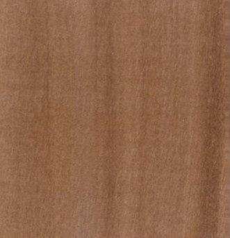 Eyoum wood grain (tangential face)