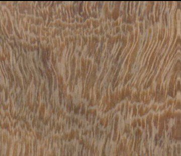 Sipo wood grain (tangential face)