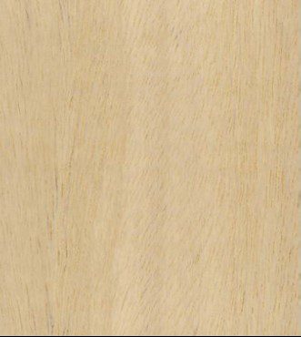 Olonvongo wood grain (tangential face)