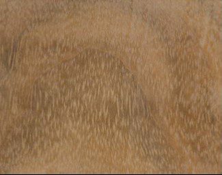 Ovengkol wood grain (tangential face)
