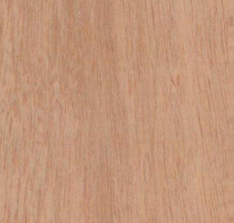 Hannoa klaineana wood grain (tangential face)