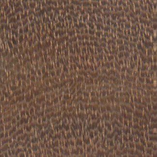 Azobe wood grain (tangential face)