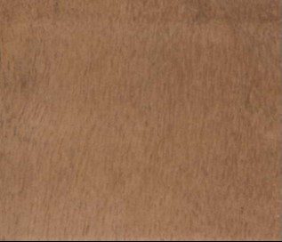 Oboto wood grain (tangential face)