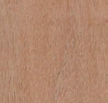Bilinga wood grain (tangential face)