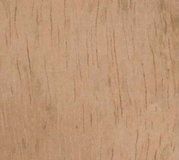 Oldfieldia africana wood grain (tangential face)