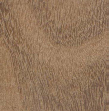 Afrormosia wood grain (tangential face)
