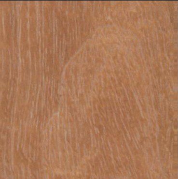 Tetraberlinia tubmaniana wood grain (tangential face)