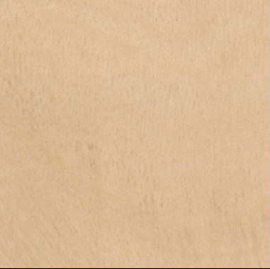 Ayous wood grain (tangential face)