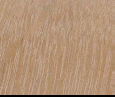 Uapaca guineensis wood grain (tangential face)